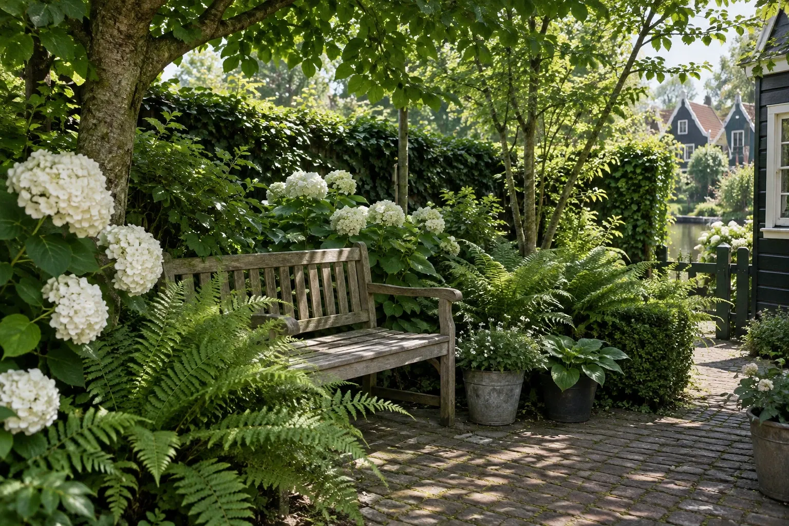 Houten tuinbank onder boom, omringd door varens en witte hortensia's