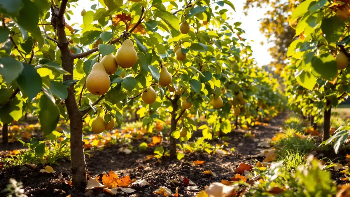Deze robuuste fruitbomen die tegen alles bestand zijn, werden in de herfst geplant door onze grootouders