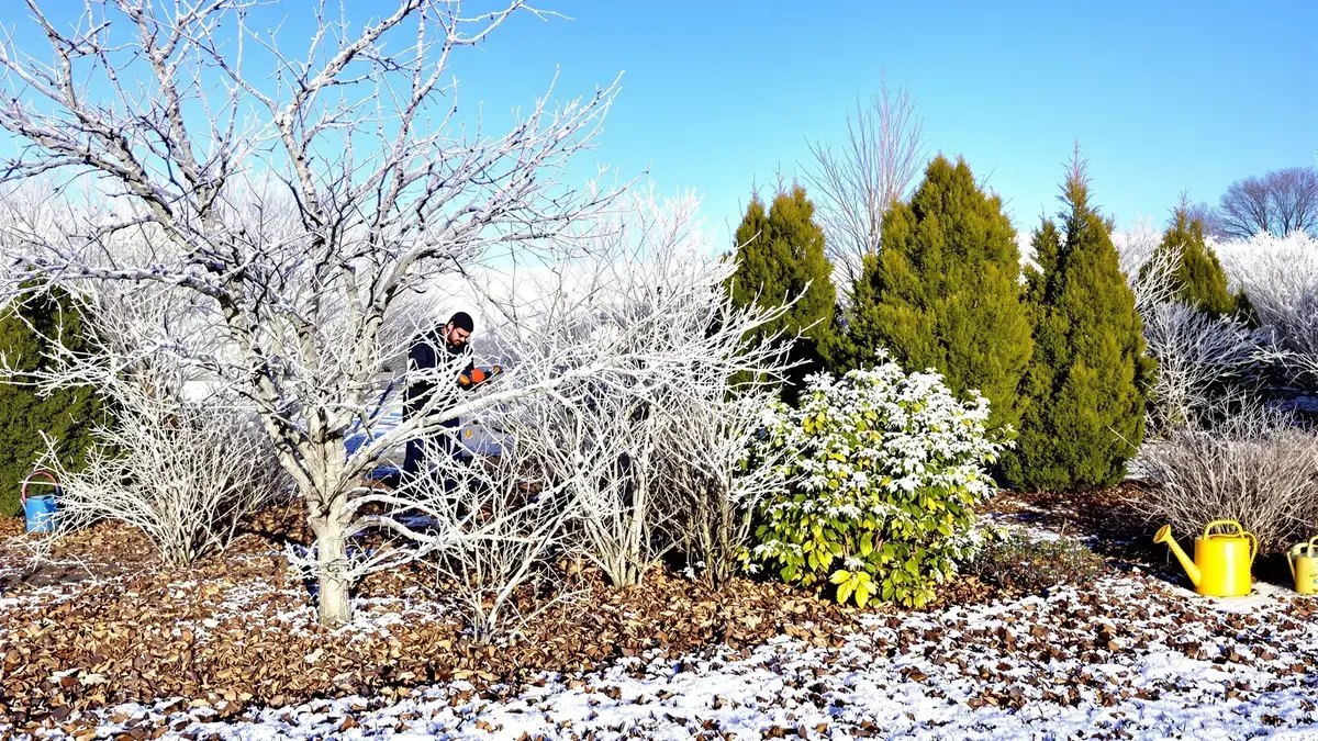 Raak je vaste planten in november niet aan: tips van een tuinarchitect om je tuin in de winter te beschermen
